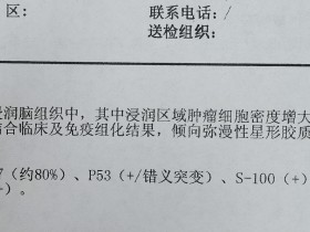 抗癌打怪记录+免疫组化指标